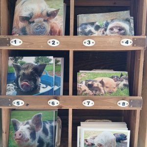 Greeting Card